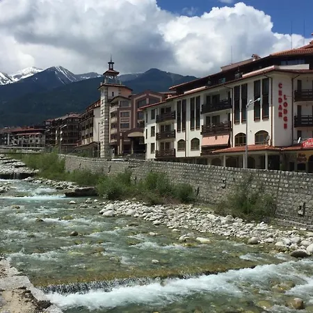 Cedar 3/4 Paradise Hotel Bansko