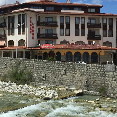 Cedar 3/4 Paradise Hotel