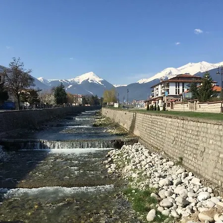 Ξενοδοχείο Cedar 3/4 Paradise *