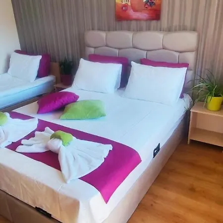 Cedar 3/4 Paradise Hotel *