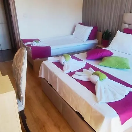 Cedar 3/4 Paradise *