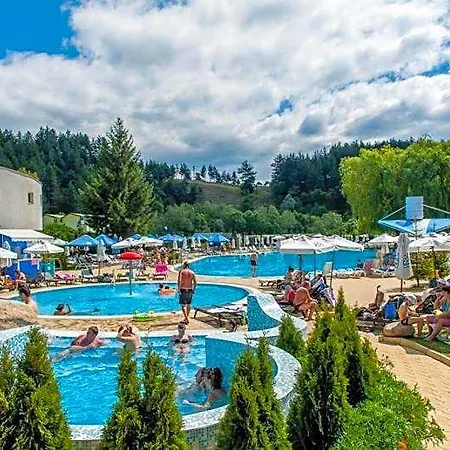 Cedar 3/4 Paradise Hotel