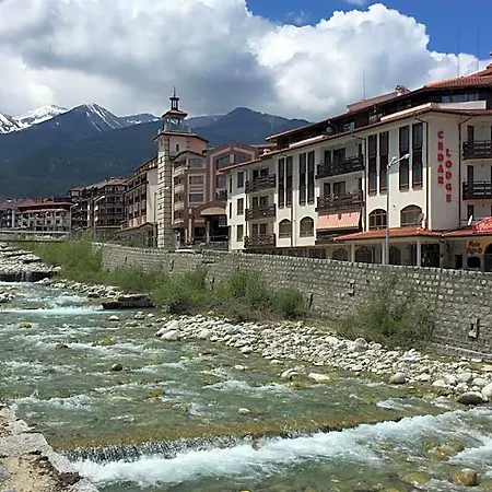 Cedar 3/4 Paradise * Bansko