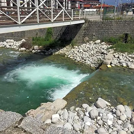 Cedar 3/4 Paradise * Bansko