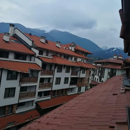 Отель Cedar 3/4 Paradise *