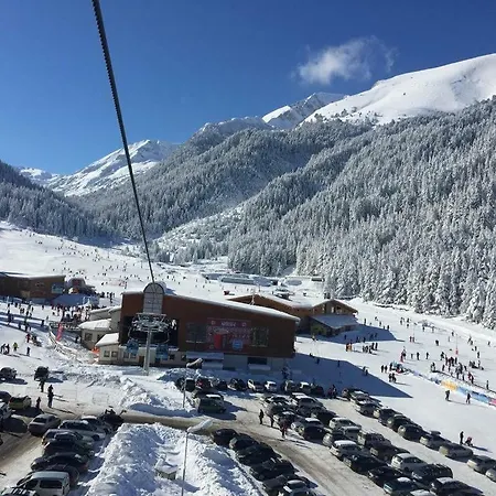 Отель Cedar 3/4 Paradise *