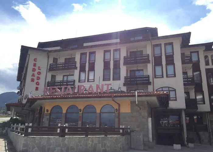 Hotel Cedar 3/4 Paradise