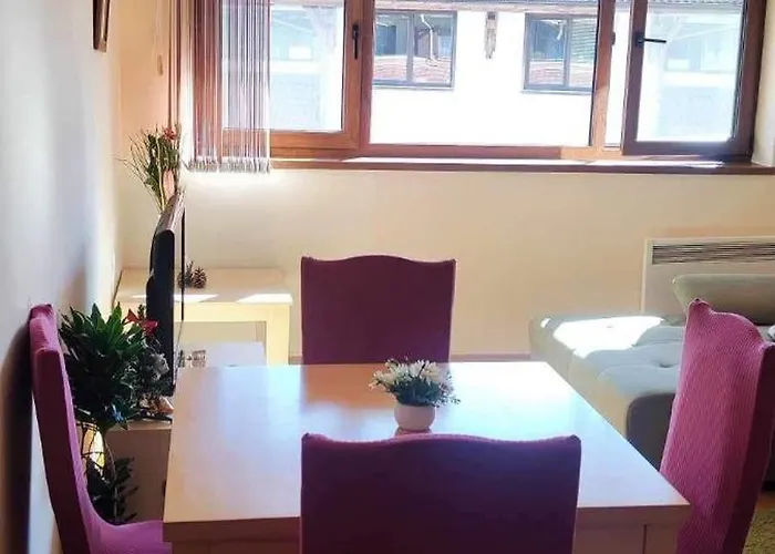 Cedar 3/4 Paradise Hotel Bansko