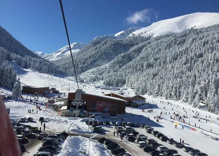 Hotel Cedar 3/4 Paradise *